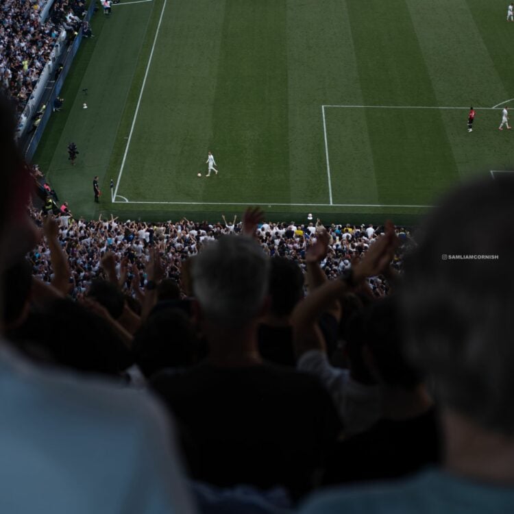 James Maddison Spurs fans