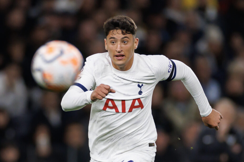 Tottenham Hotspur v Fulham FC - Premier League