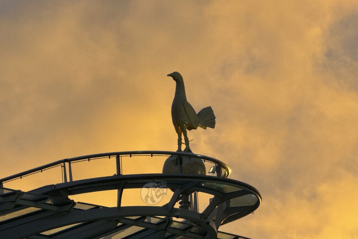 Tottenham Hotspur Stadium Cockerel
