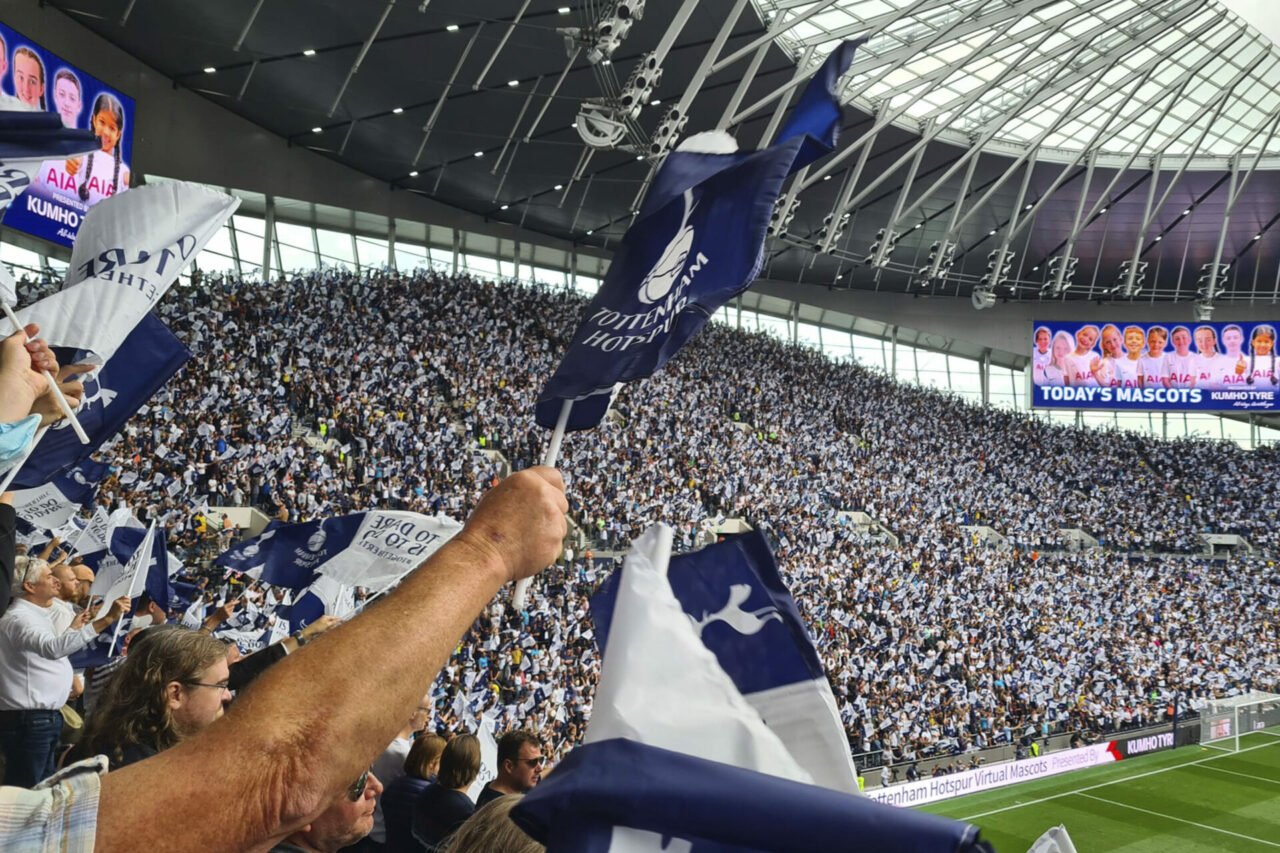 Fans Supporters Flag