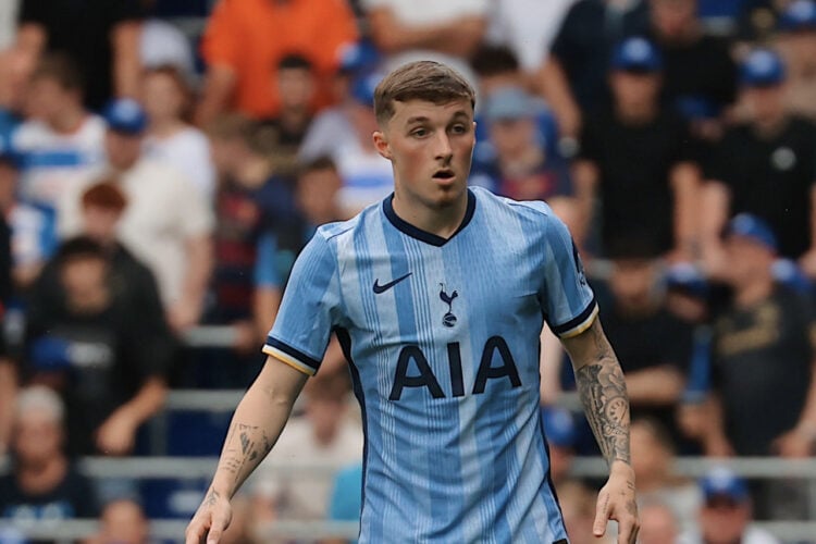 Alfie Devine Tottenham