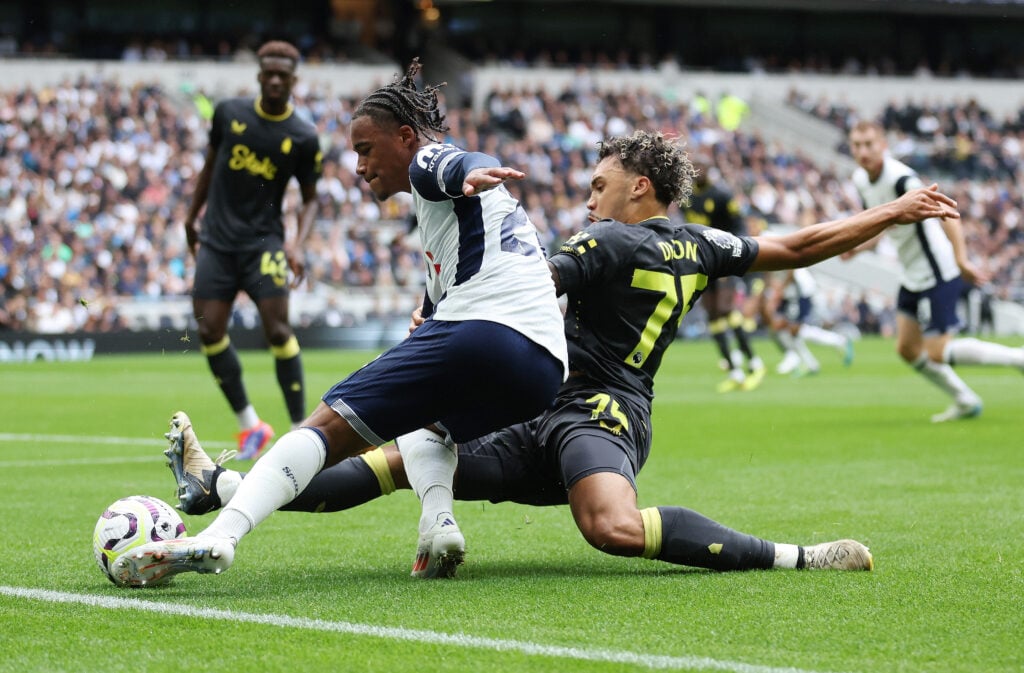 Tottenham Hotspur FC v Everton FC - Premier League