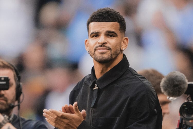 Dominic Solanke Tottenham