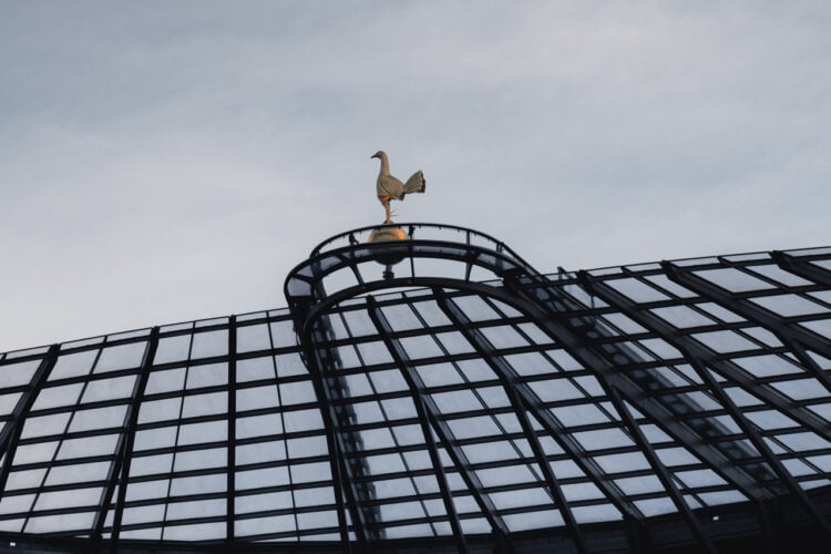 Tottenham Hotspur Stadium Cockerel Generic