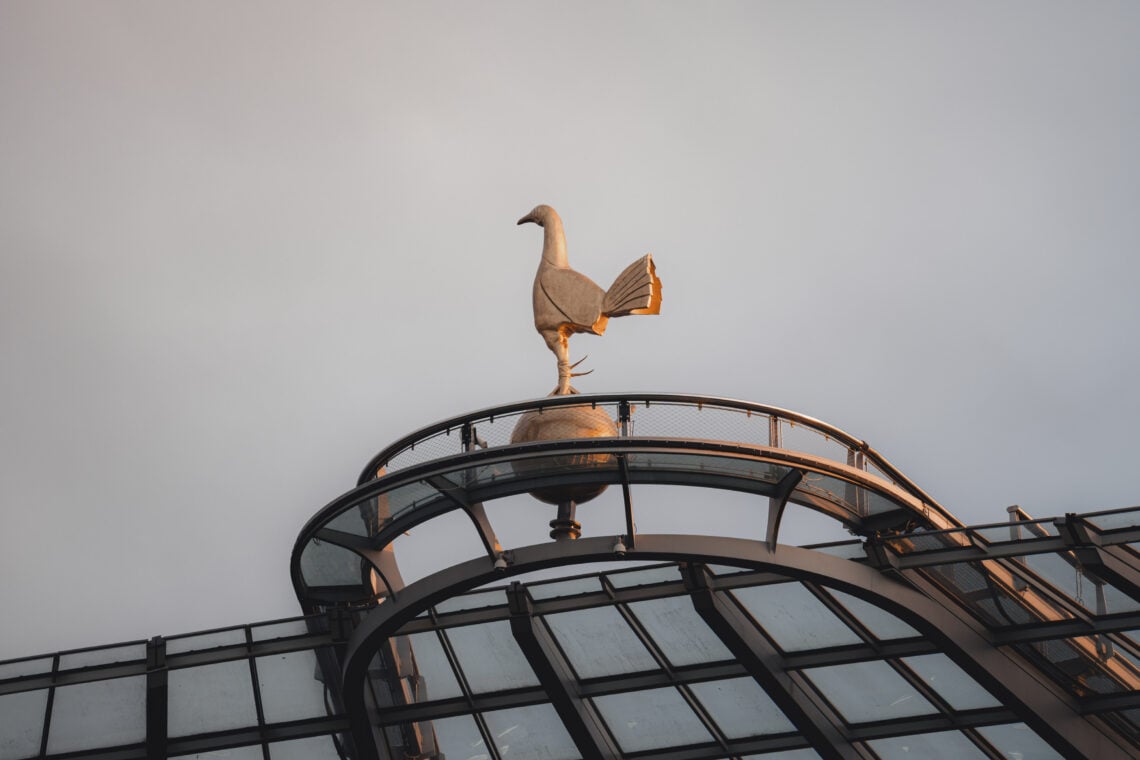 Cockerel Generic