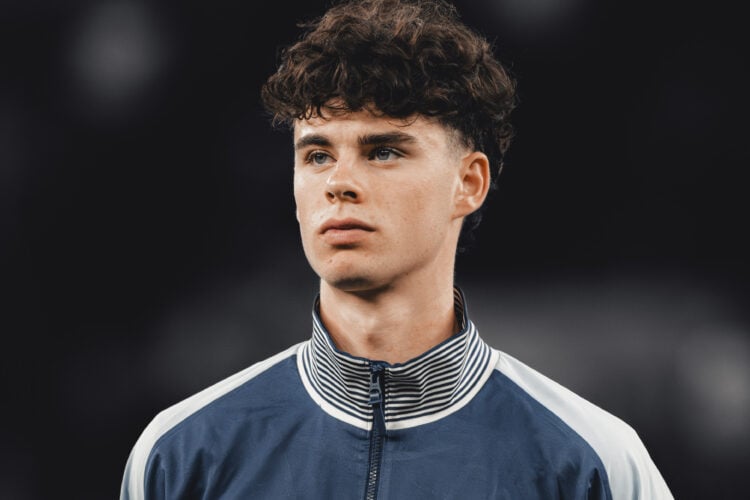 Archie Gray Tottenham