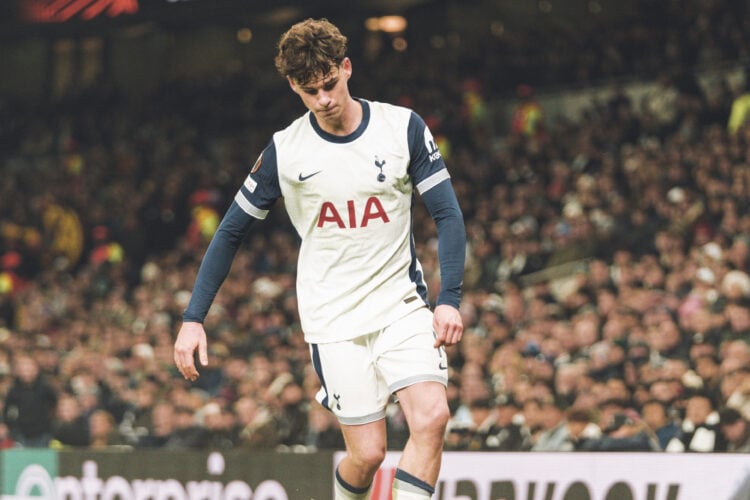 Archie Gray Tottenham