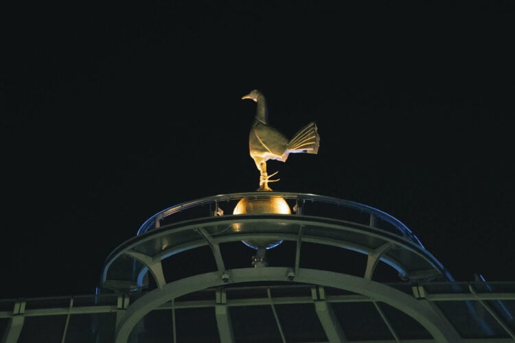 Cockerel Generic