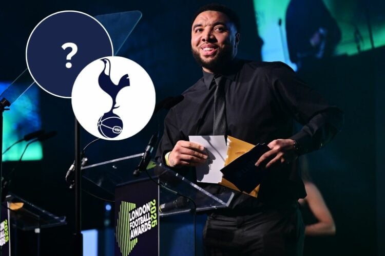 Troy Deeney Tottenham