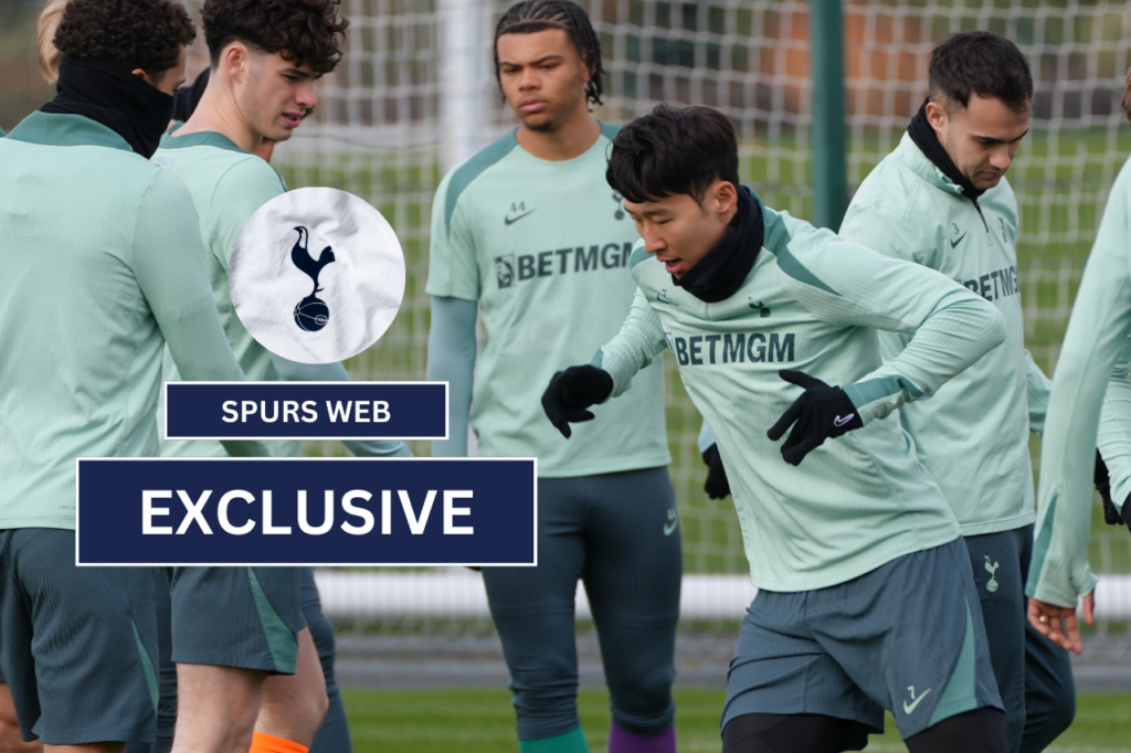 Injury expert reveals how individual training works for Tottenham stars - Spurs Web