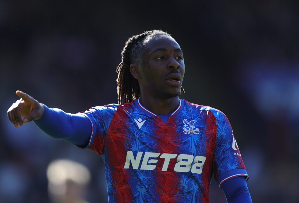 Crystal Palace FC v Brighton & Hove Albion FC - Premier League