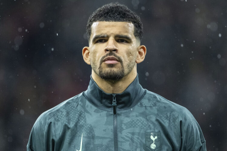 Dominic Solanke Tottenham