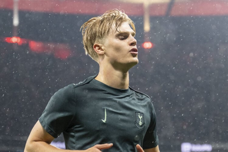 Lucas Bergvall Tottenham