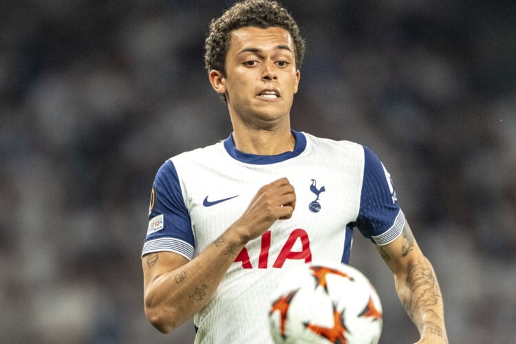 Brennan Johnson Tottenham