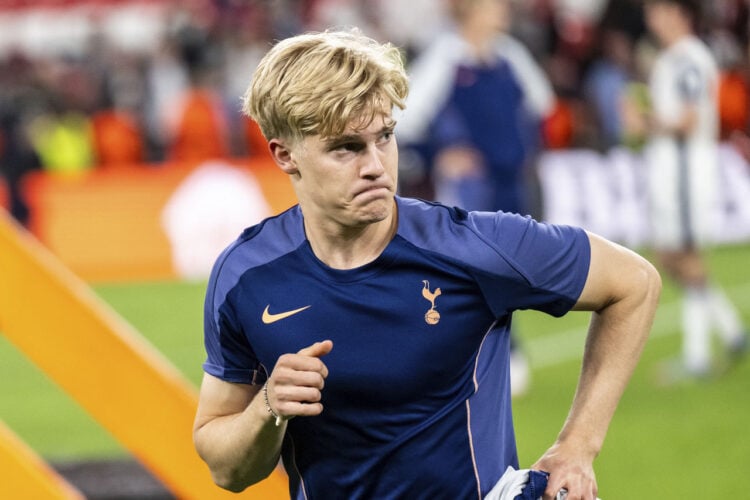 Lucas Bergvall Tottenham