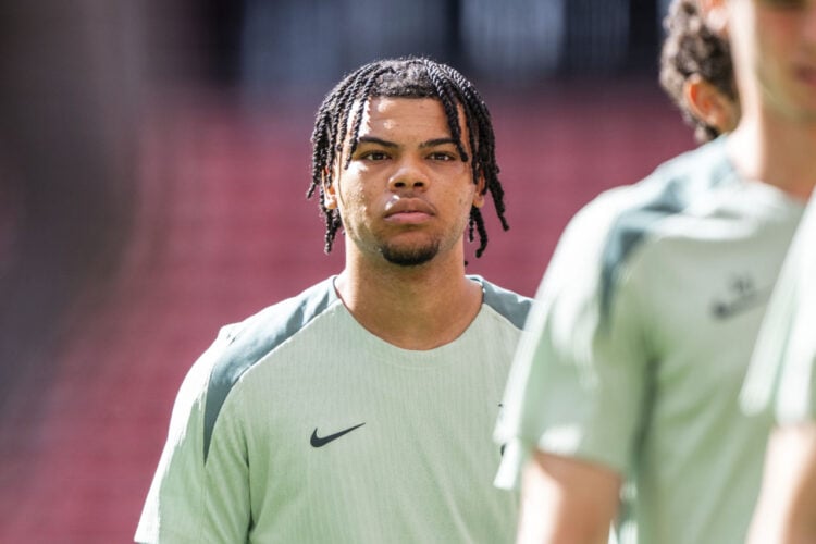 Dane Scarlett Tottenham