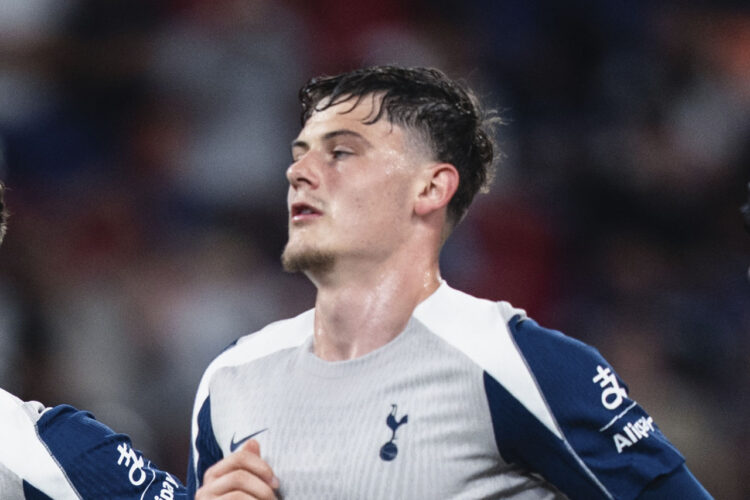 Will Lankshear Tottenham