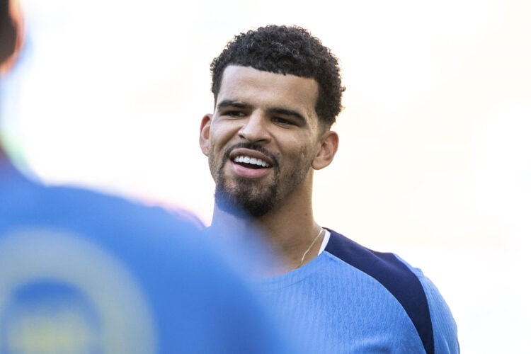 Dominic Solanke Tottenham