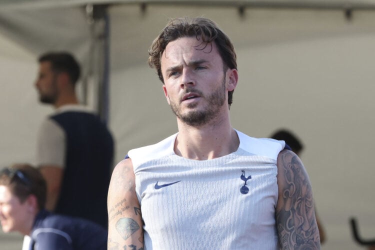 James Maddison Tottenham