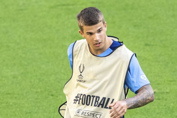 Luka Vuskovic Tottenham