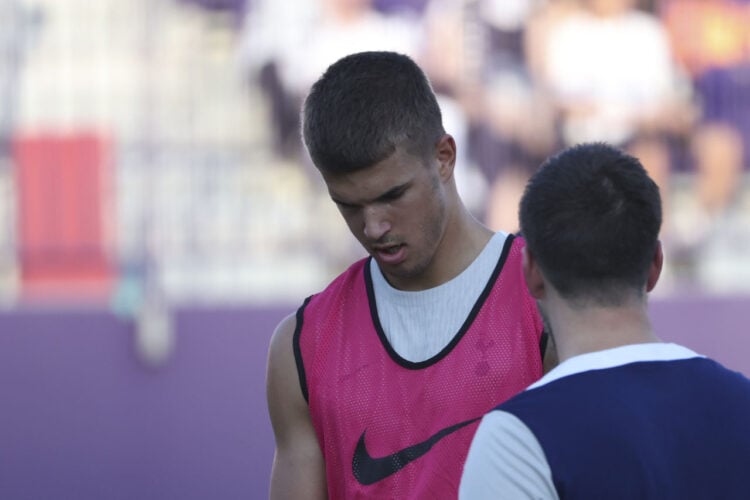 Luka Vuskovic Tottenham