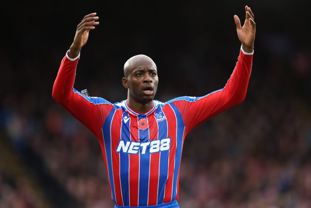 Crystal Palace v Brighton & Hove Albion - Premier League