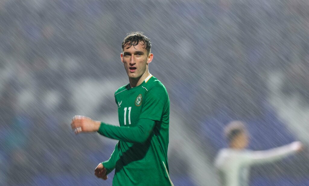 Mason Melia Tottenham