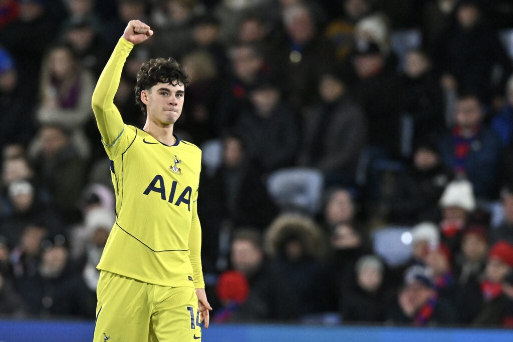 Crystal Palace v Tottenham Hotspur - Premier League