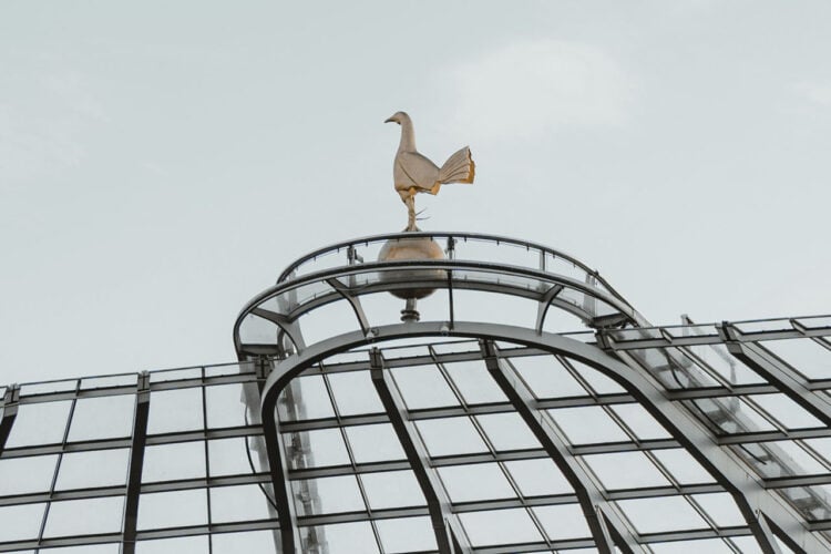 Cockerel Tottenham Generic