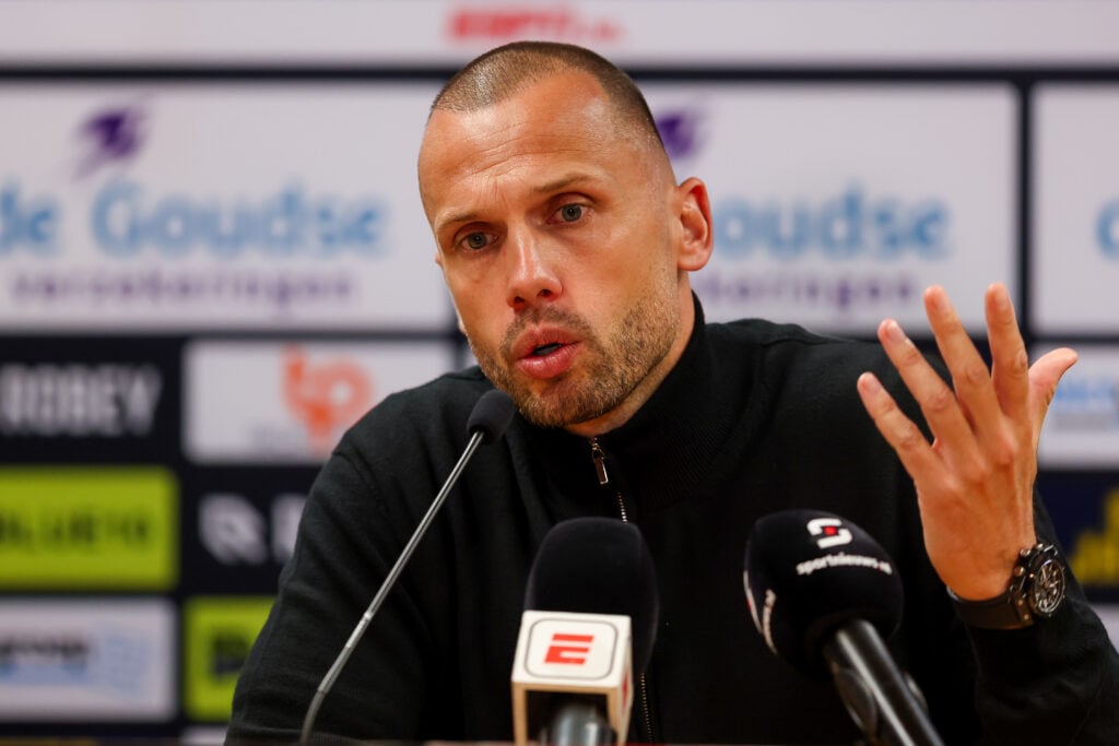 Tottenham assistant John Heitinga