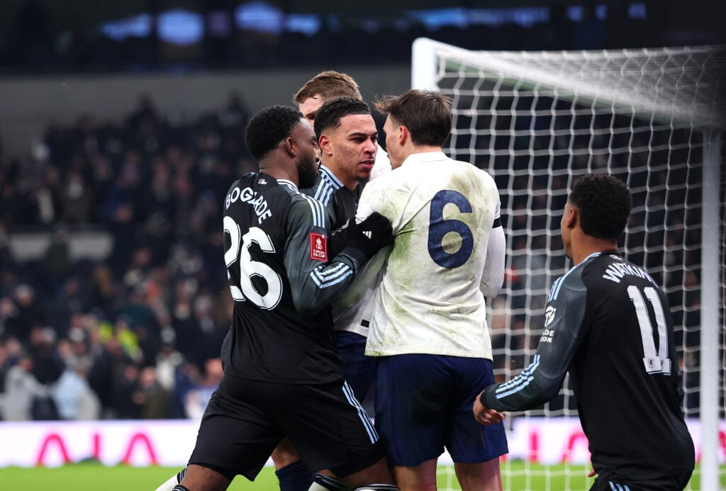 Tottenham Hotspur v Aston Villa - Emirates FA Cup Third Round