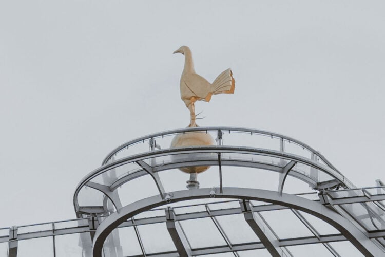 Tottenham Cockerel Generic