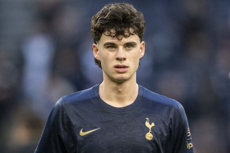 Archie Gray Tottenham