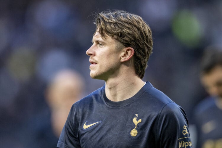 Conor Gallagher Tottenham