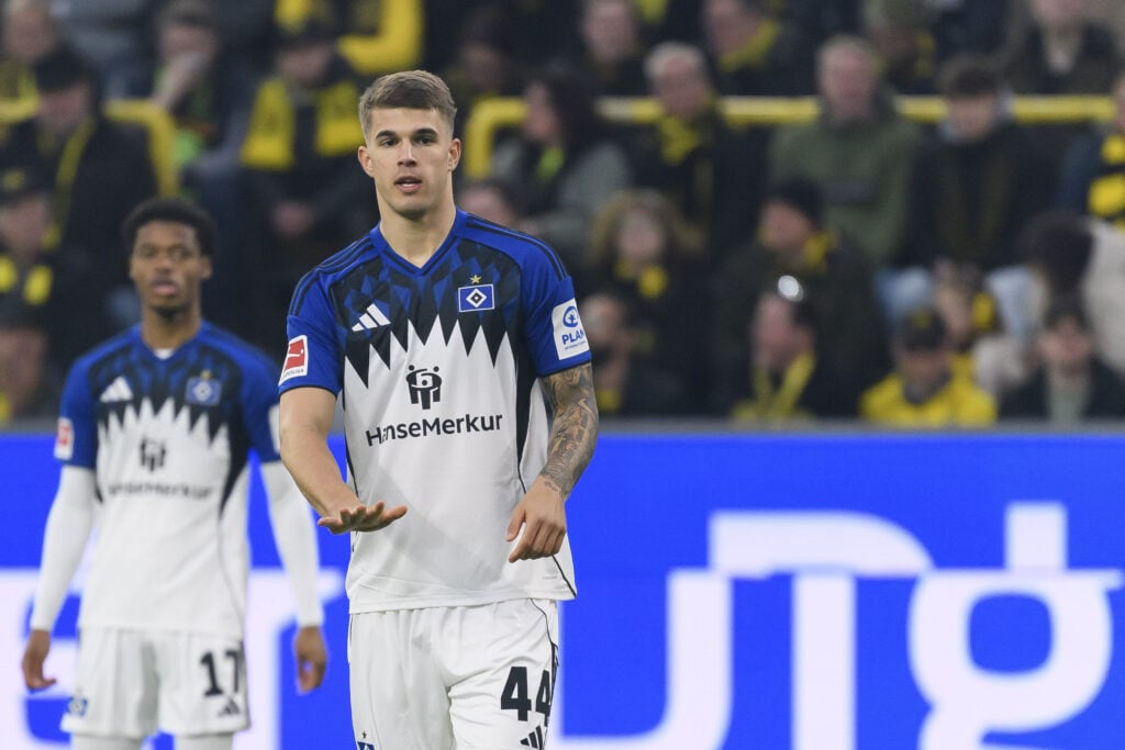 Luka Vuskovic Tottenham