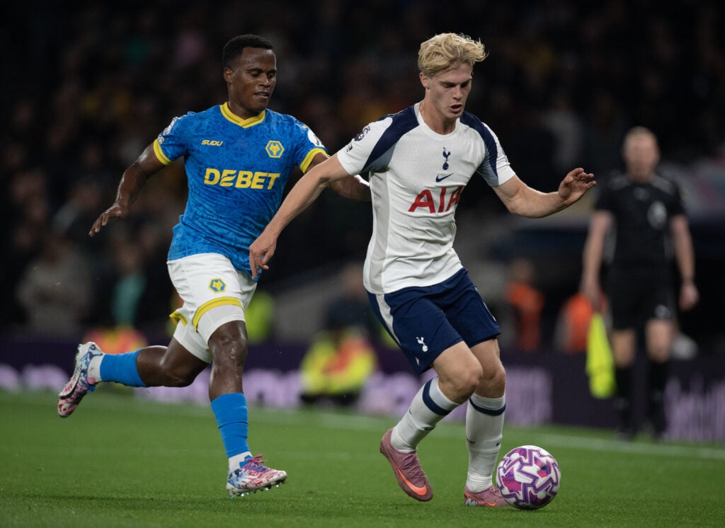 Tottenham Hotspur v Wolverhampton Wanderers - Premier League