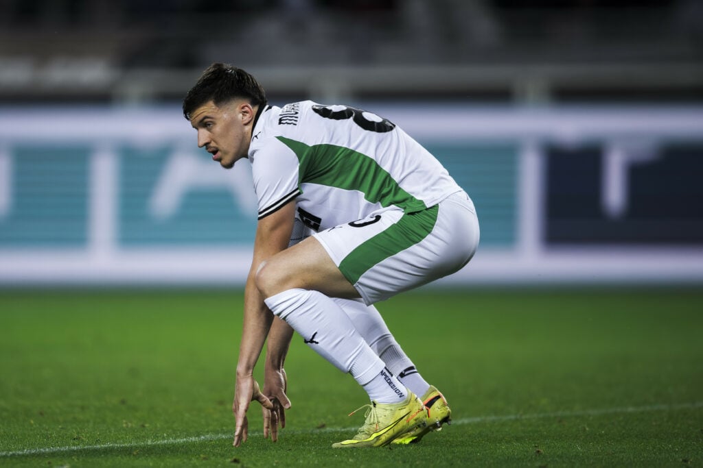 Tottenham target Tarik Muharemovic