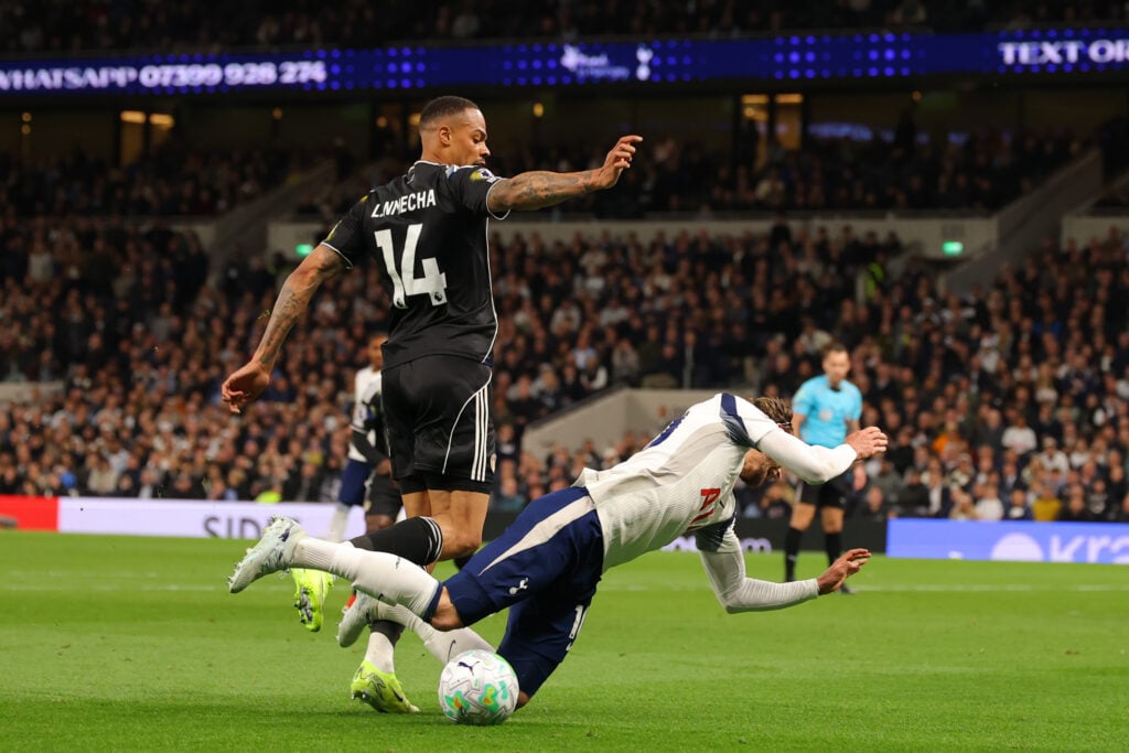 James Maddison screams for Tottenham penalty
