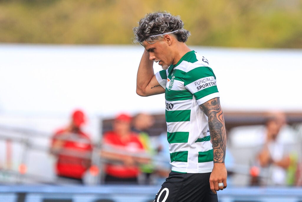 Maximiliano Araujo