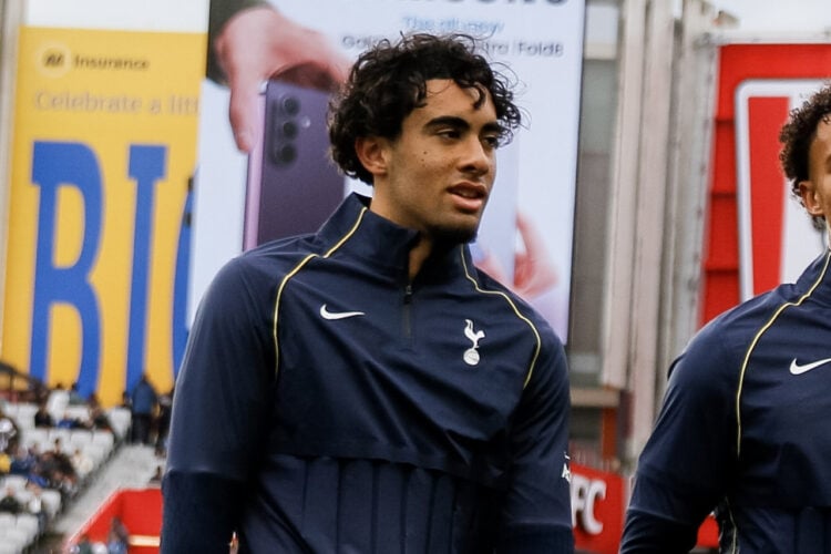 Luca Williams-Barnett Tottenham