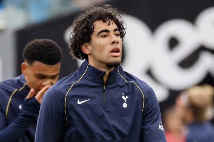 Luca Williams-Barnett Tottenham