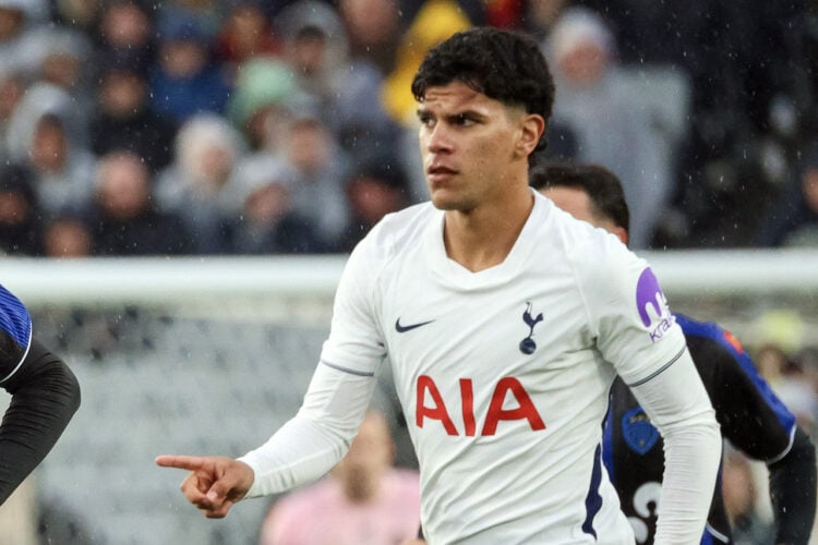 Mateus Fernandes Tottenham