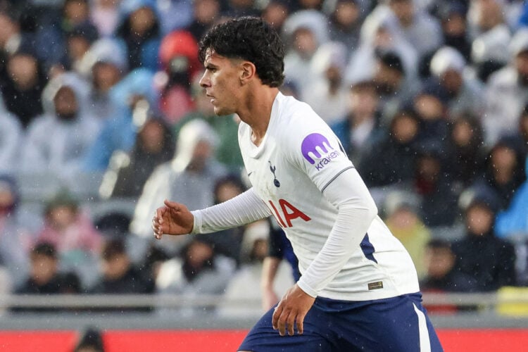 Mateus Fernandes Tottenham