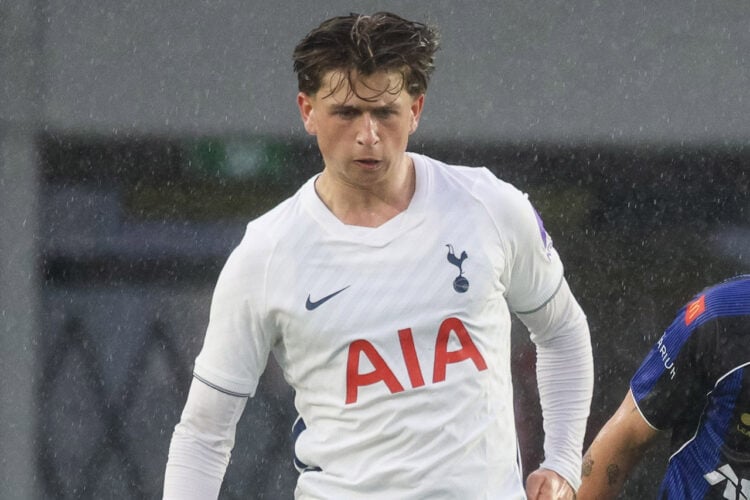 Mikey Moore Tottenham