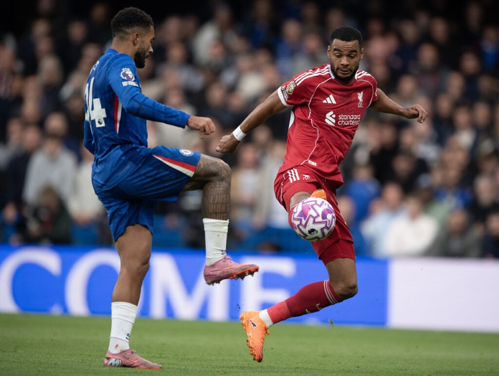 Tottenham target Cody Gakpo