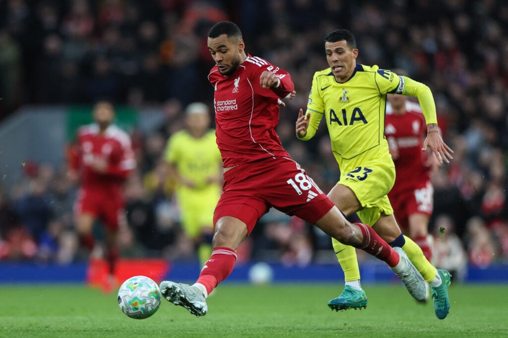 Tottenham target Cody Gakpo