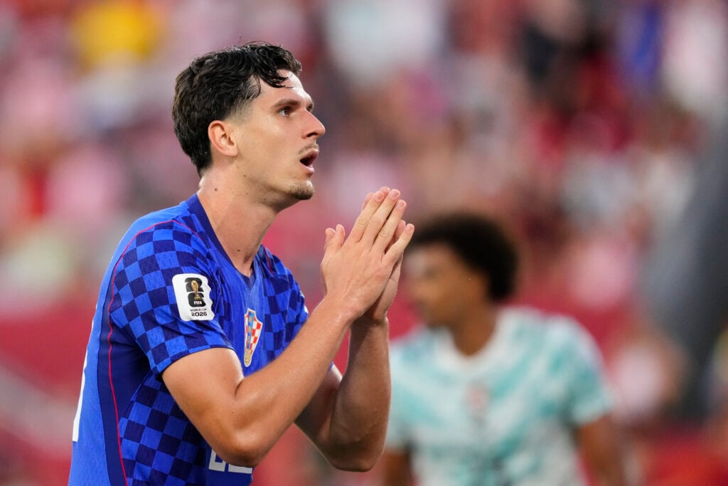 Tottenham target Igor Matanovic