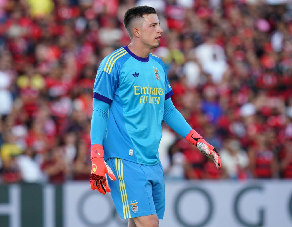 Tottenham target Anatoliy Trubin