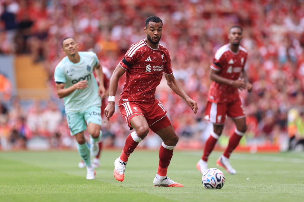 Tottenham target Cody Gakpo