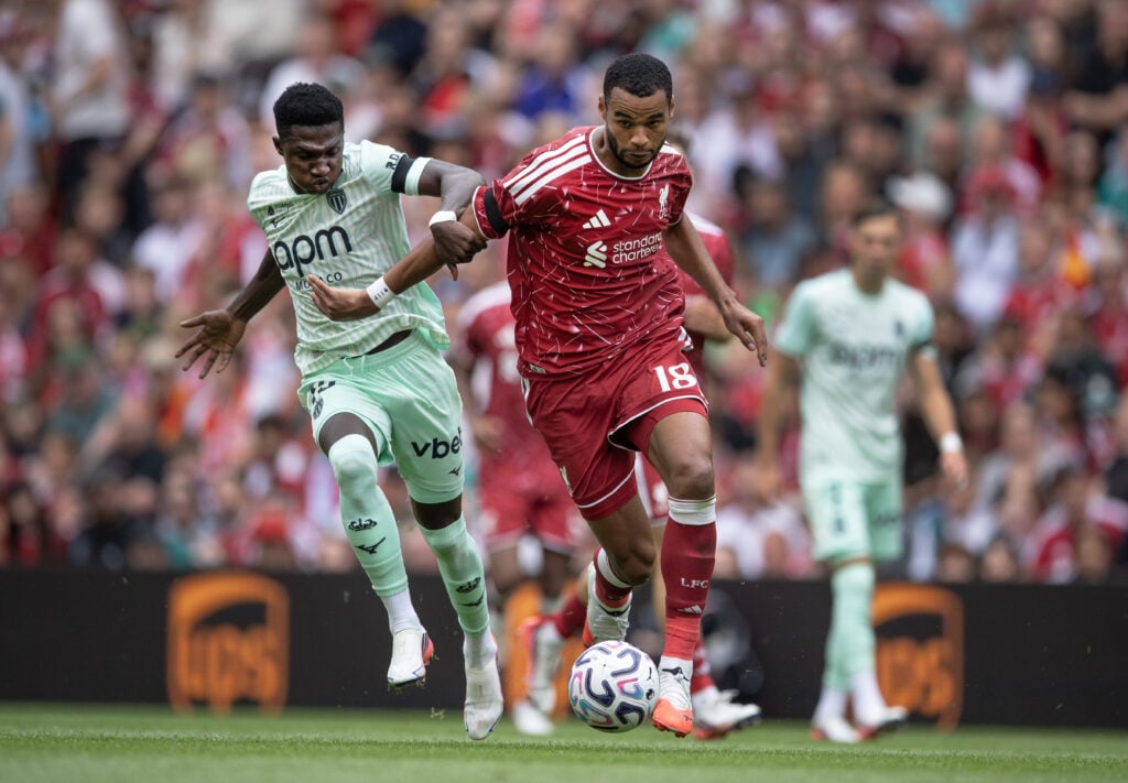 Tottenham target Cody Gakpo